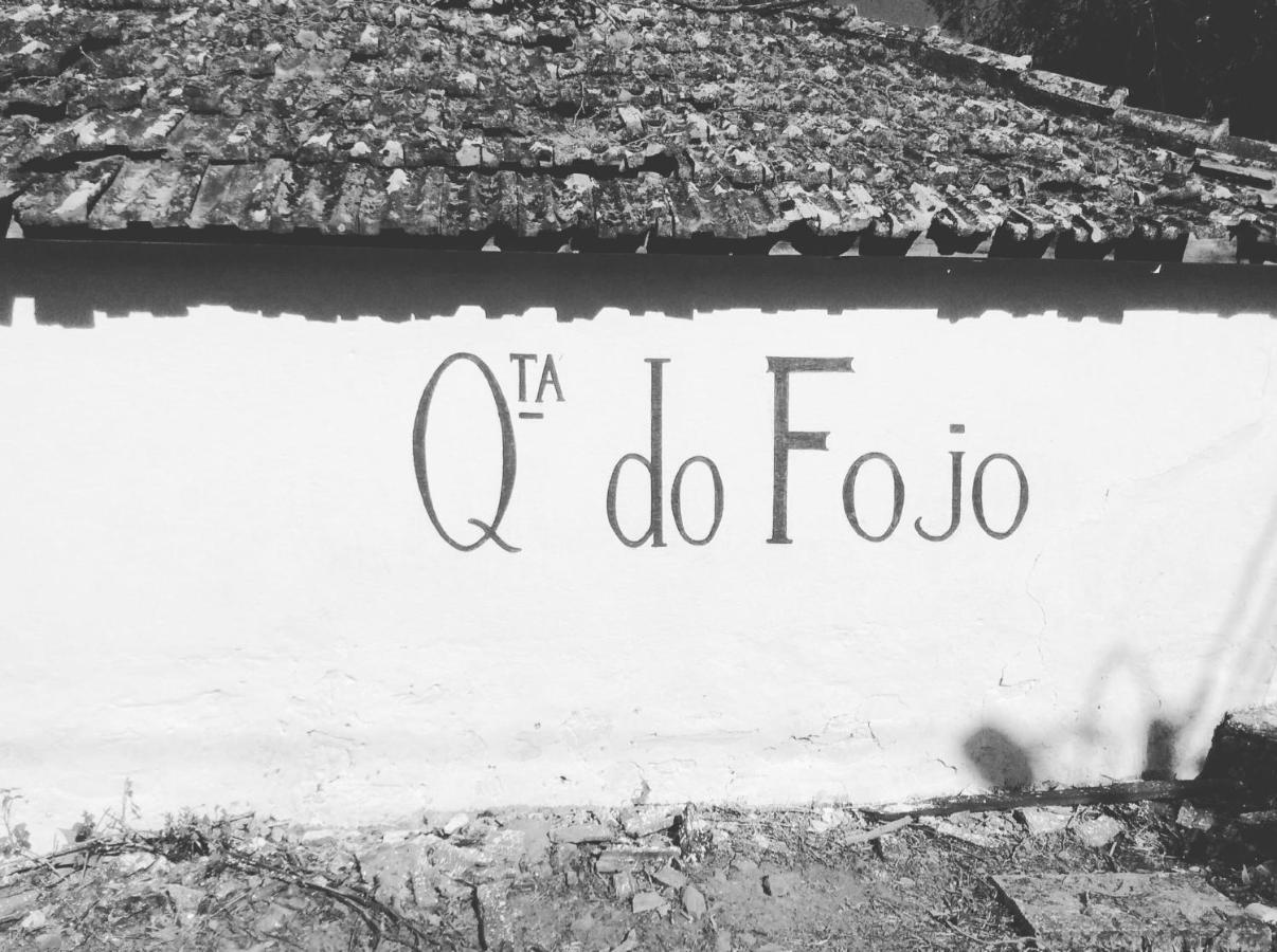 Bed and Breakfast Quinta Do Fojo Lamego Zewnętrze zdjęcie