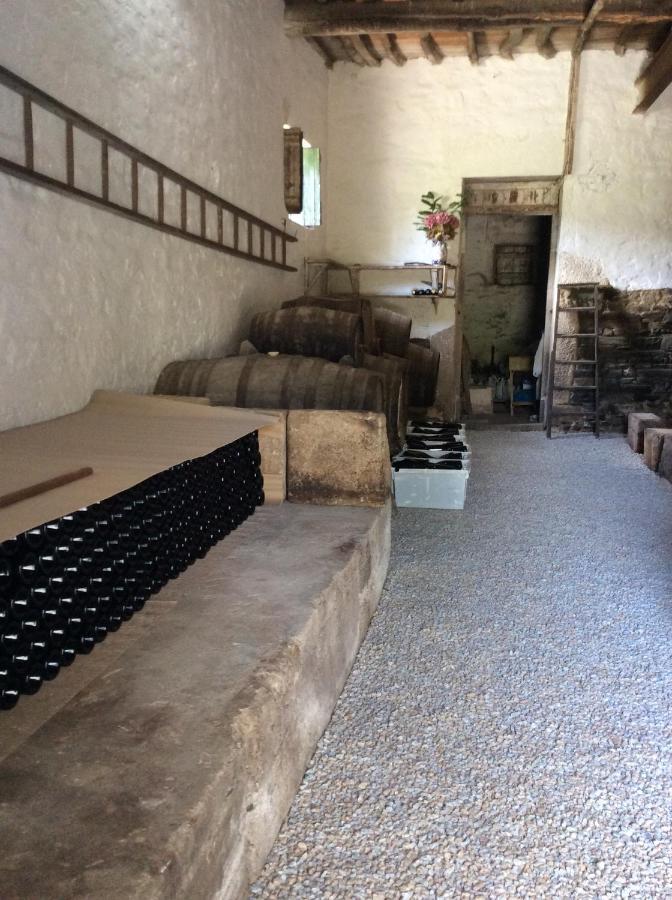 Bed and Breakfast Quinta Do Fojo Lamego Zewnętrze zdjęcie