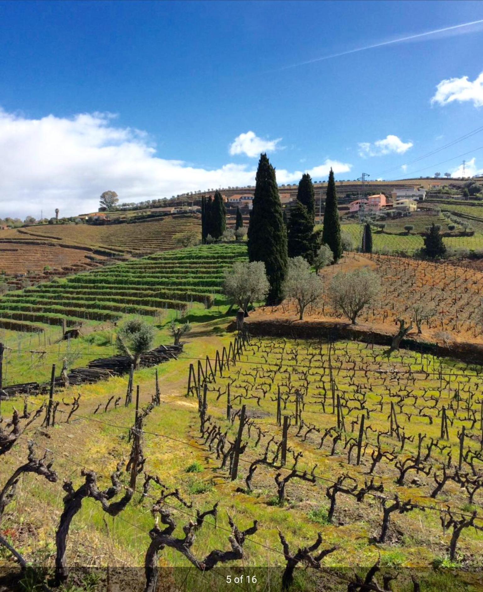 Bed and Breakfast Quinta Do Fojo Lamego Zewnętrze zdjęcie