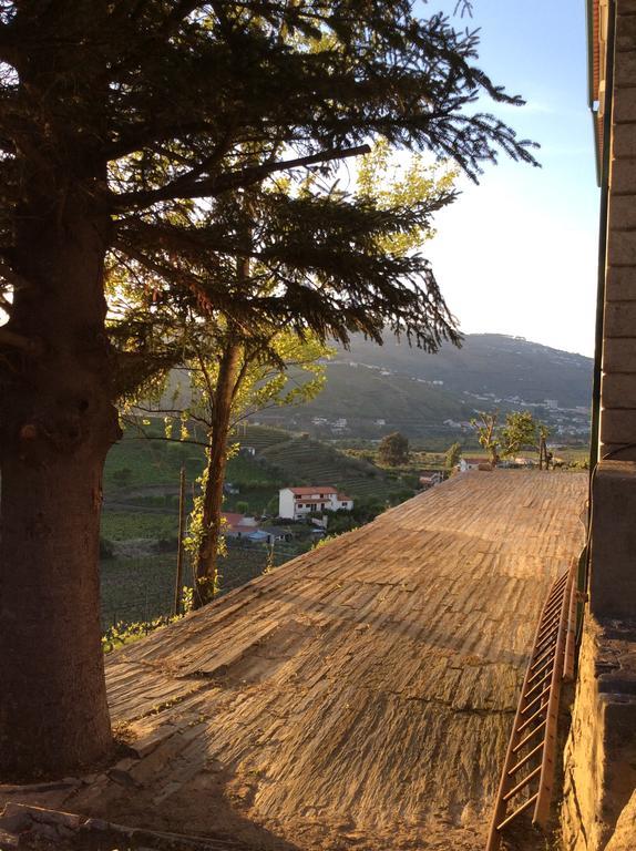 Bed and Breakfast Quinta Do Fojo Lamego Zewnętrze zdjęcie