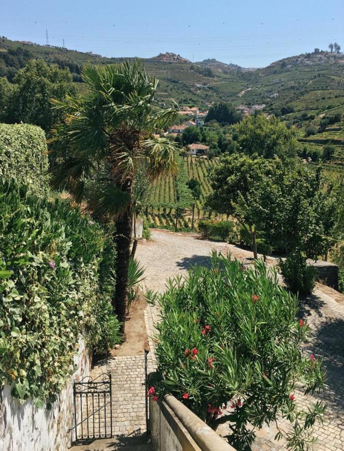 Bed and Breakfast Quinta Do Fojo Lamego Zewnętrze zdjęcie